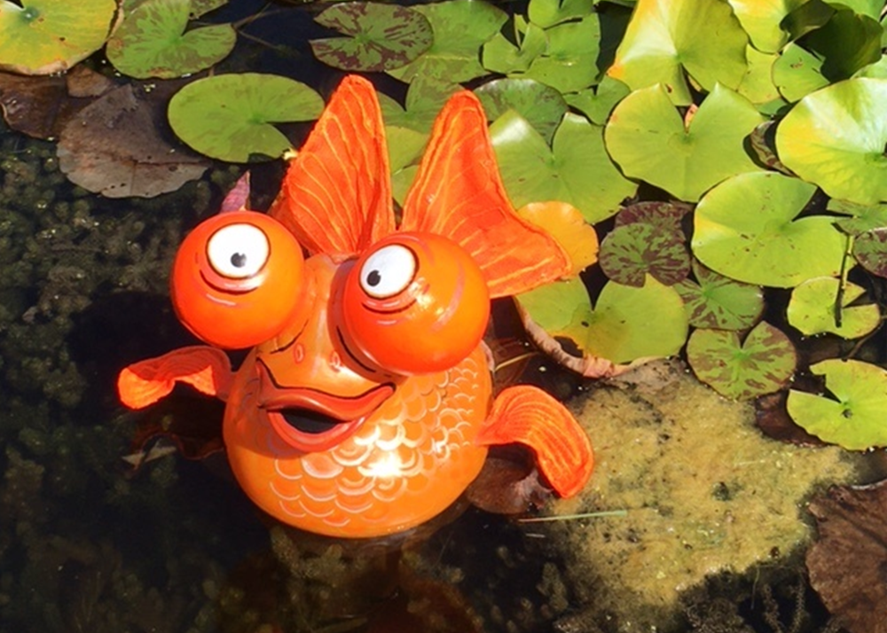 Structure-flex enter Norwich’s Grand Duck Race 