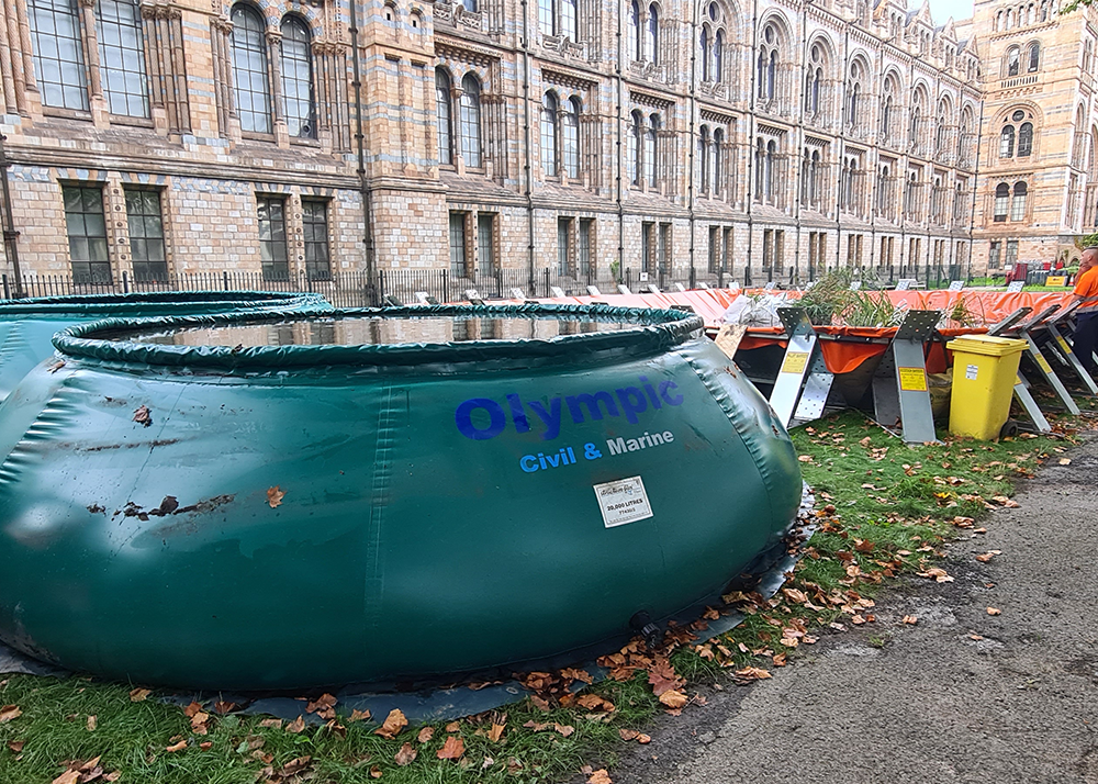 Structure-flex & Olympic Pools at the Natural History Museum 