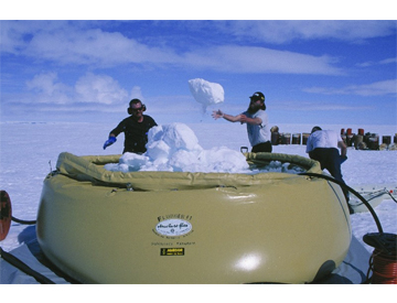 Antarctic Survey 