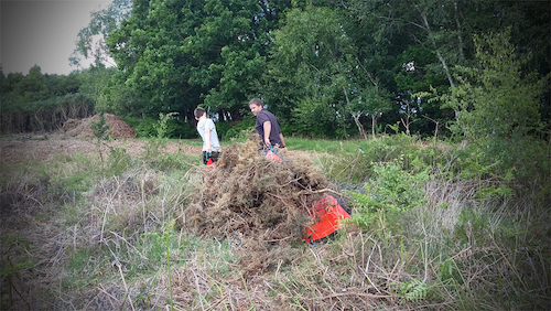 Helping Volunteers Conserve a Site of Scientific Importance